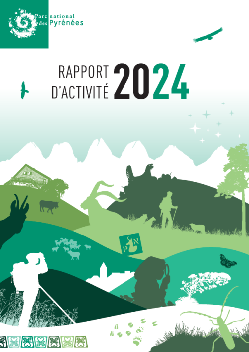 Rapport d'activité 2024