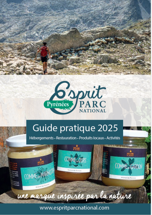 Guide pratique 2025