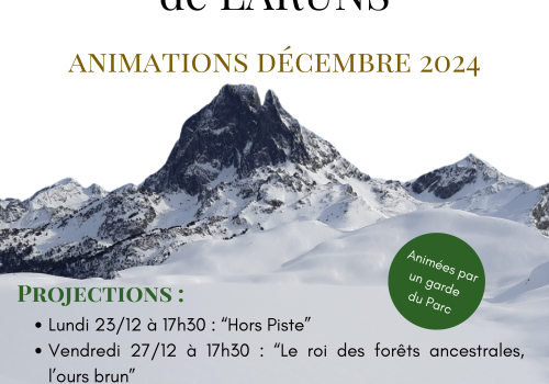 Programme décembre 2024