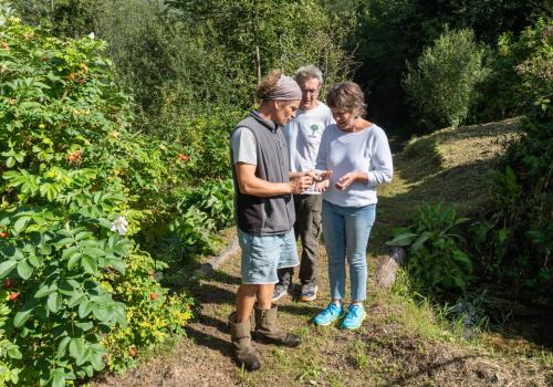Vrac en herbes