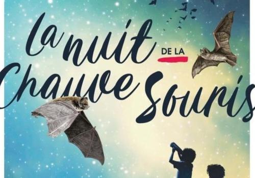 nuit chauve-souris