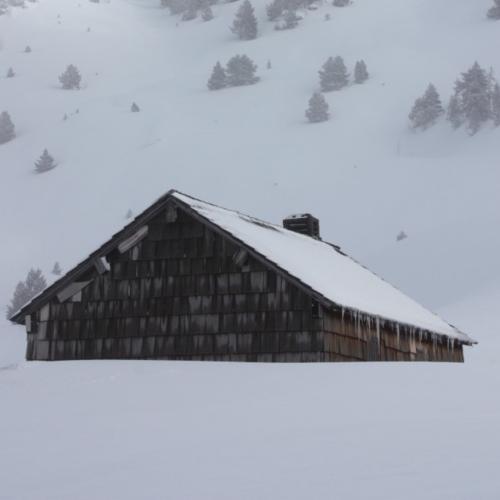 00015758_refuge_larry_neige_jerome_demoulin_recadre.jpg
