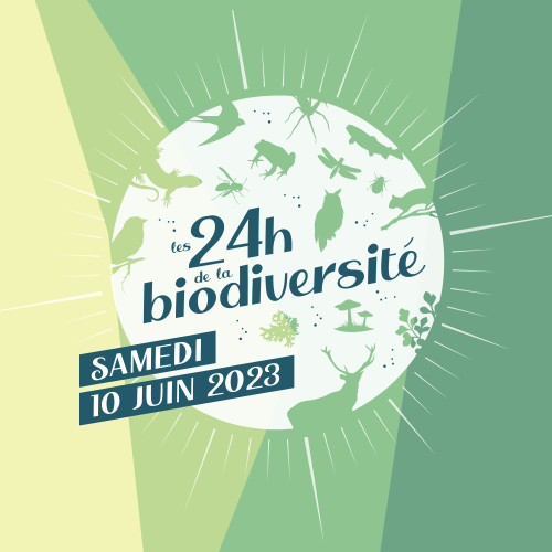 carré 24h biodiv