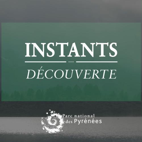 Instants Découverte