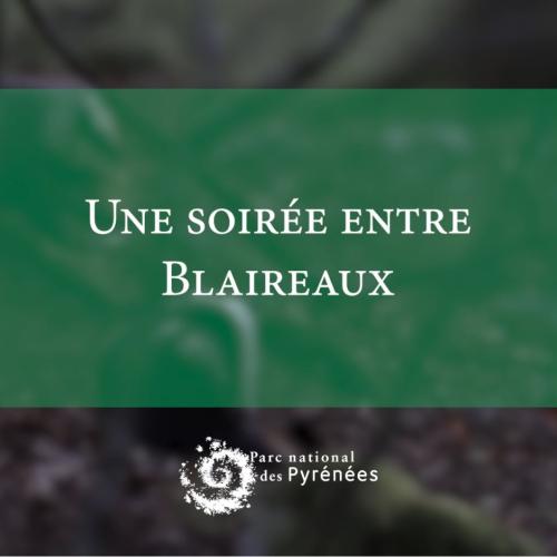 Instant Nature - Une soirée entre blaireaux