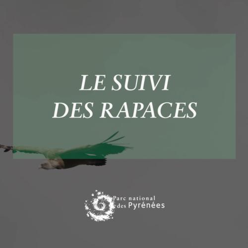 couv Instants Découverte - Le suivi des rapaces