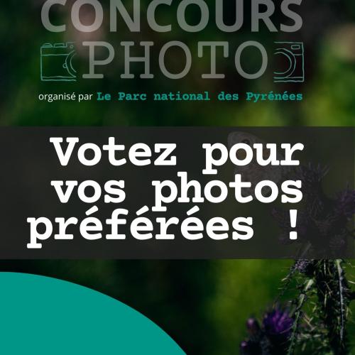 Concours photos ABC 