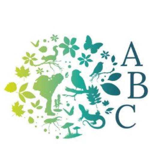 logo ABC