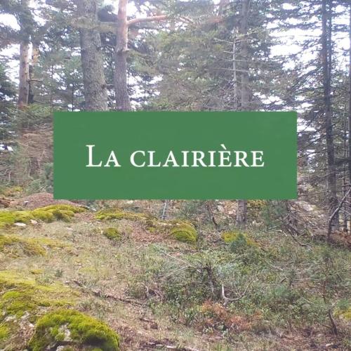 Instants Nature - La clairière