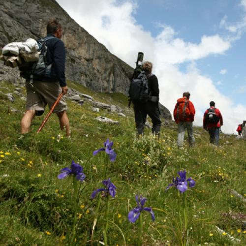 pastoralisme-et-refuge-des-espuguettes-cirque-de-gavarnie-vallee-de-gavarnie-cc-m-cadu.jpg