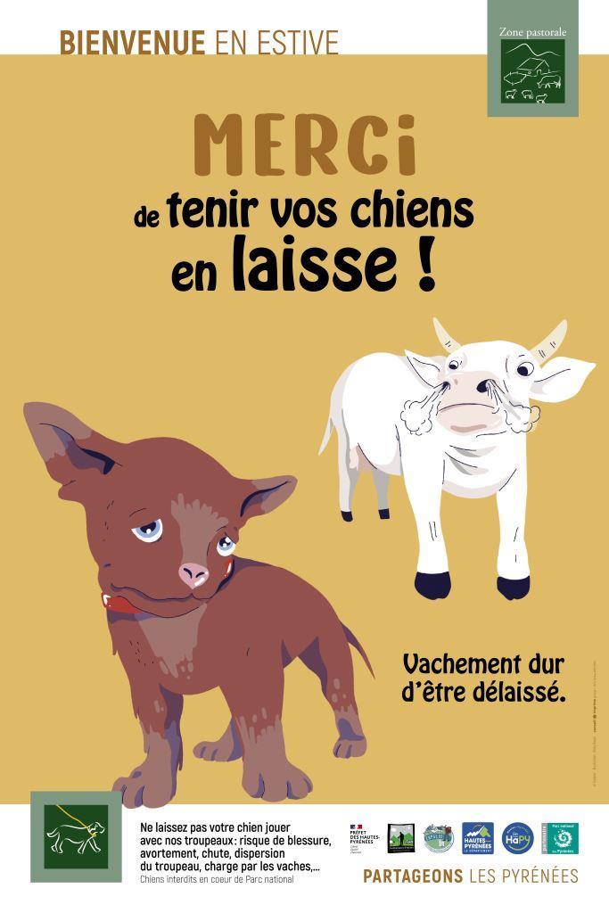 Bienvenue en estive - chien