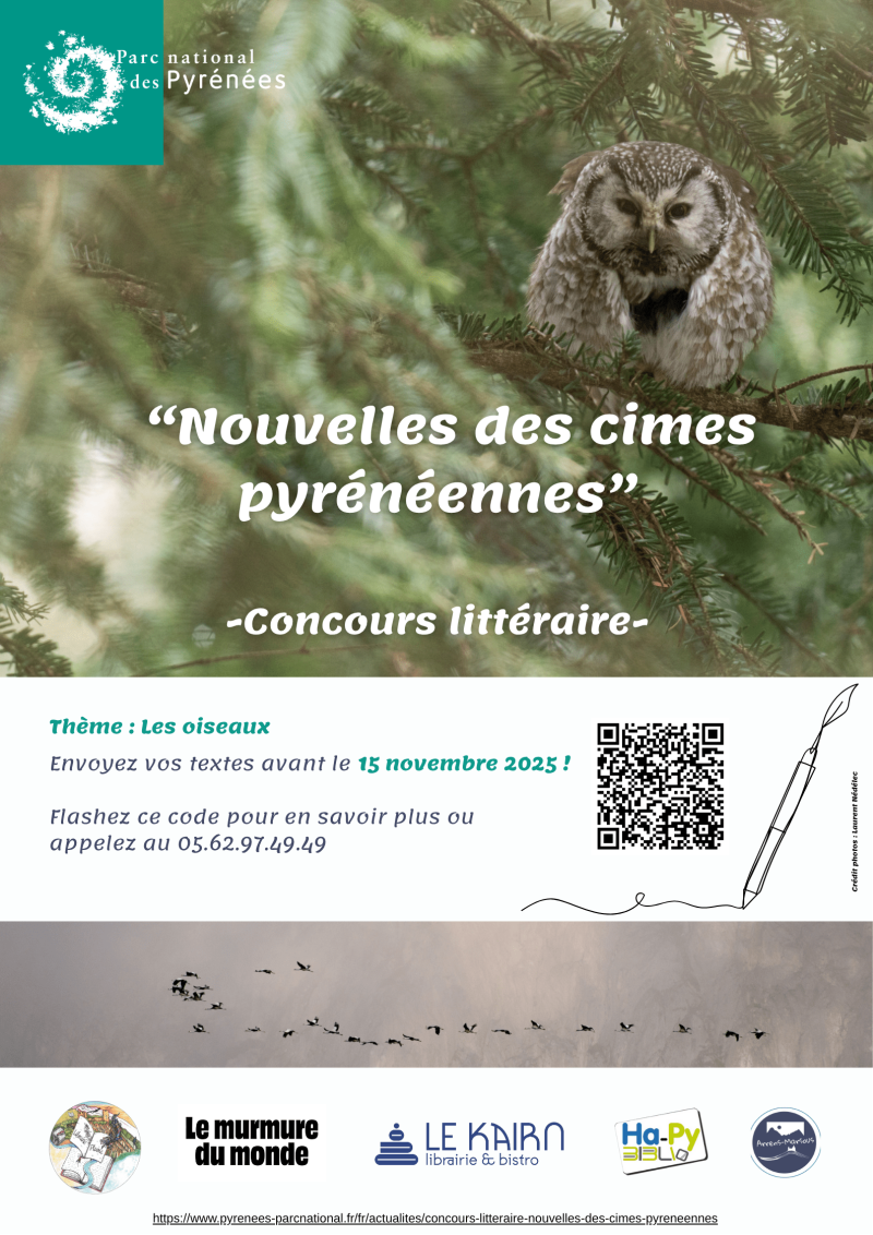 Affiche concours de nouvelles