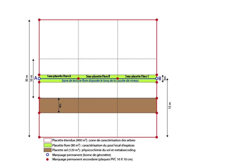 schema_placette_echantillonnagev2.jpg