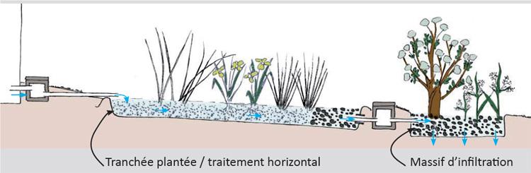 Shéma des filtres plantés (c) Ecocentre Pierre et Terre