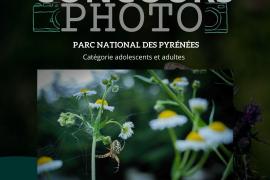 2ème prix concours photo vote du Parc national des Pyrénées