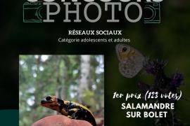 1er prix concours photo