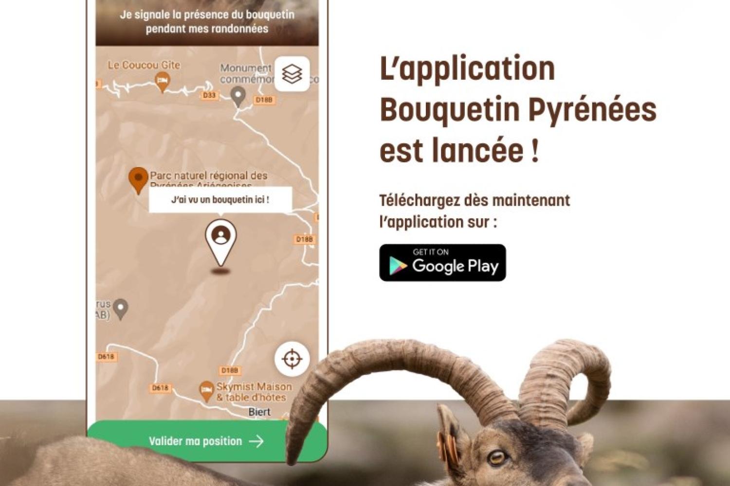 Application Bouquetin Pyrénées