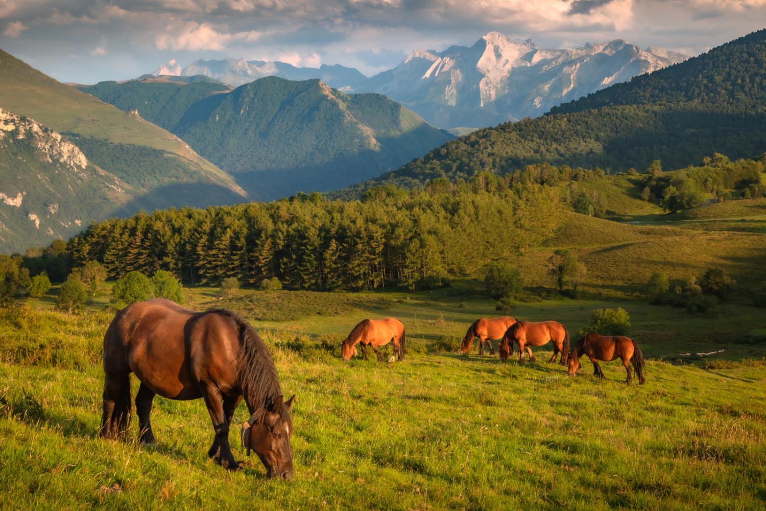 Plateau du Bénou © Jean-François Graffand