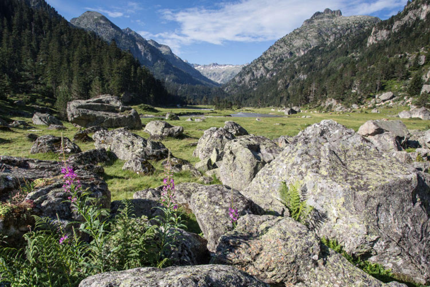 cauterets-parc-national.jpg