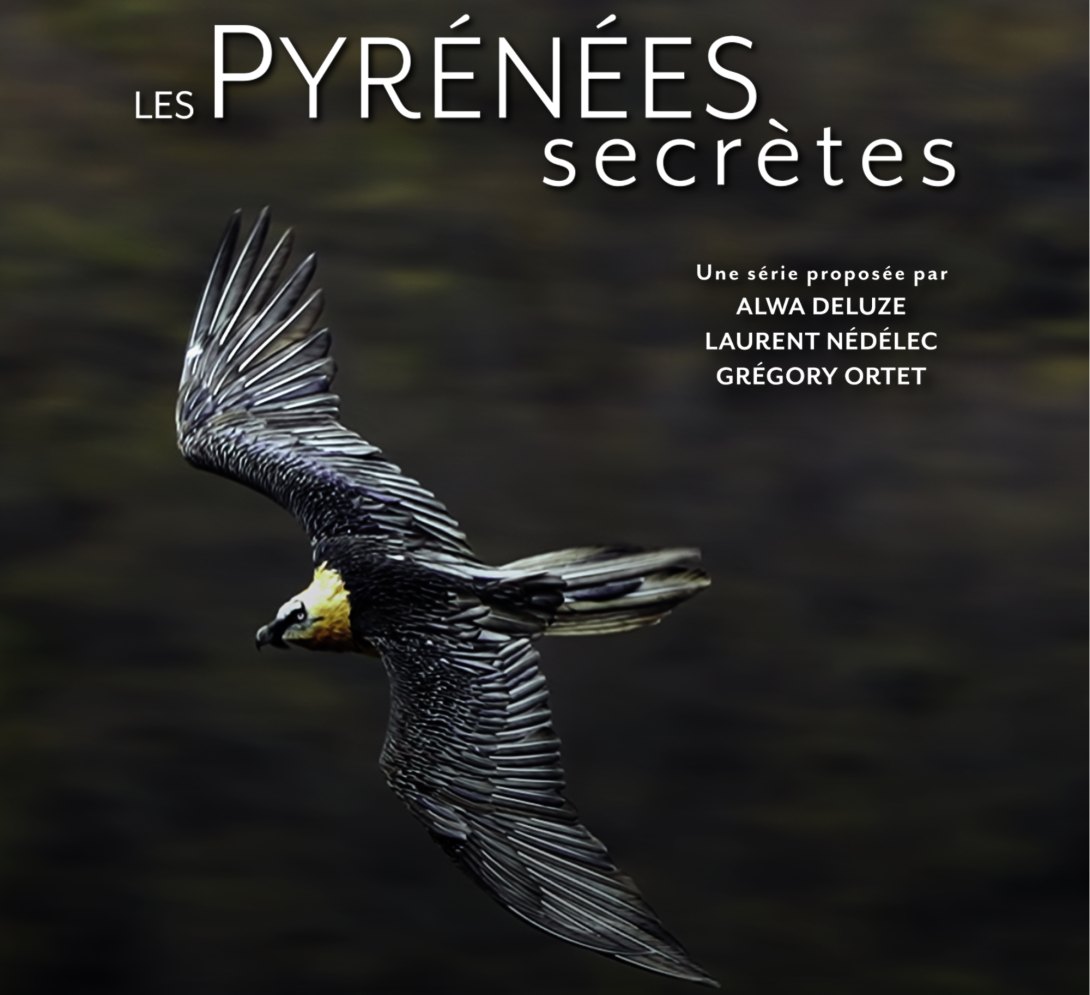 Pyrénées secrètes