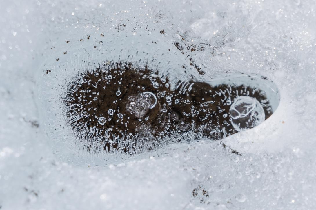 Glace