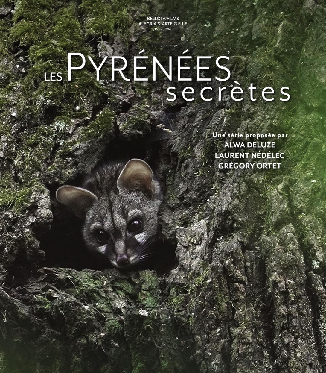 affiche Genette