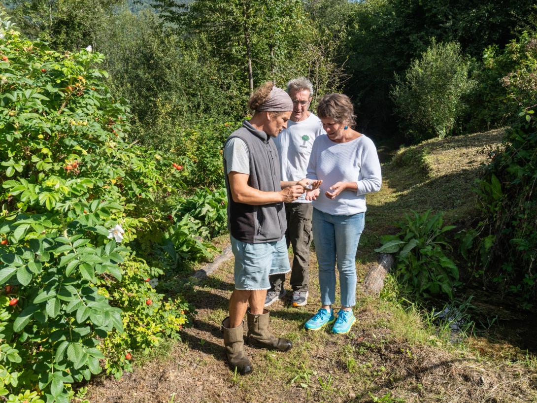 Vrac en herbes