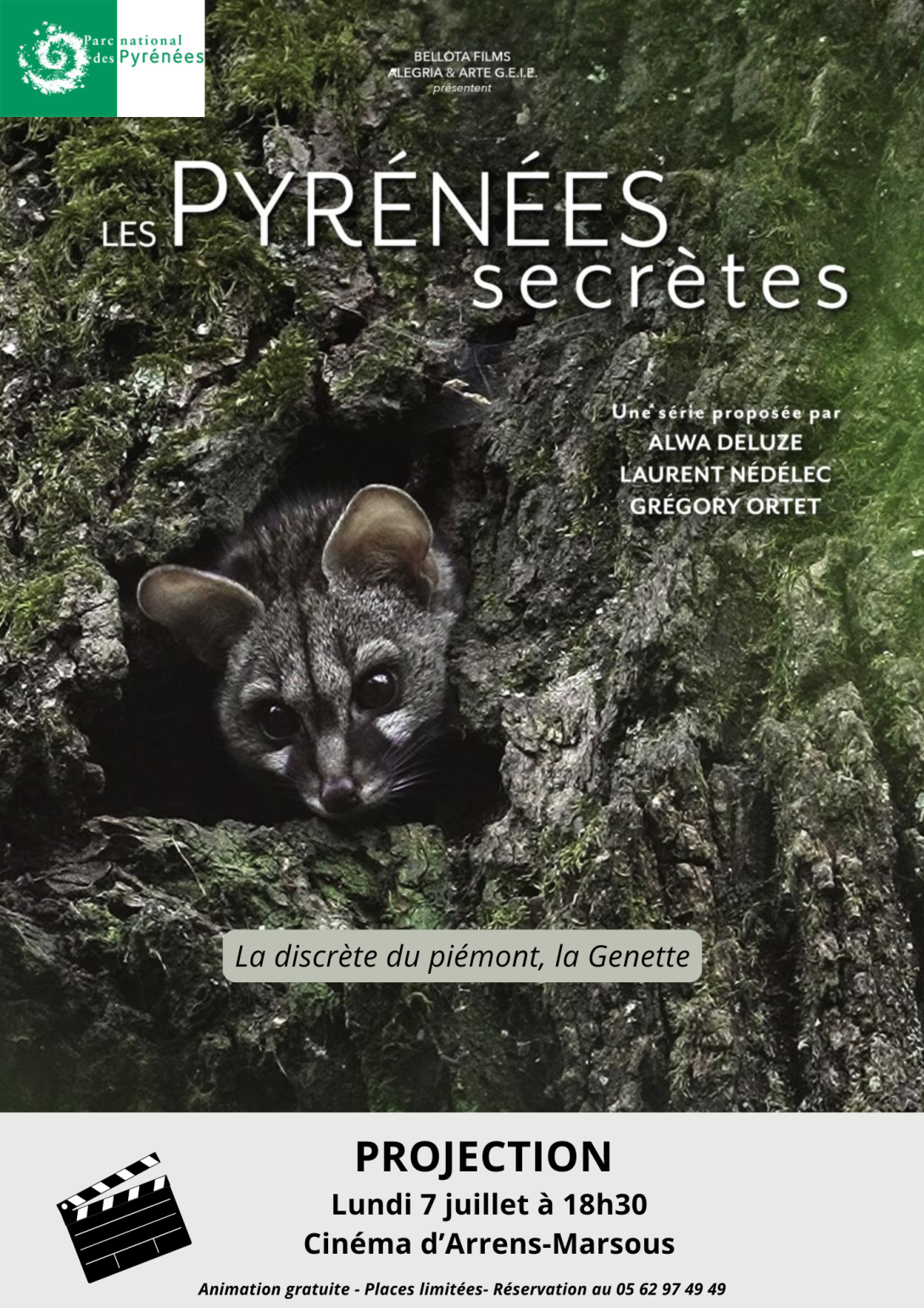 Pyrénées secrètes, la Genette