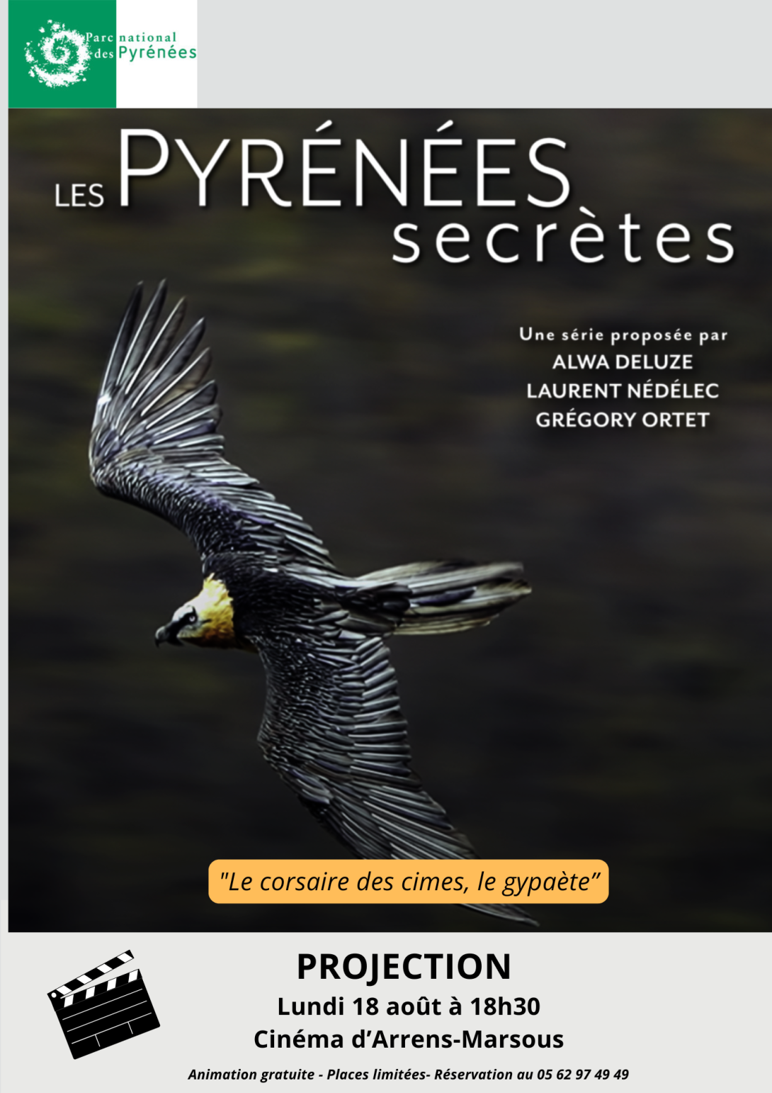 Le gypaète barbu