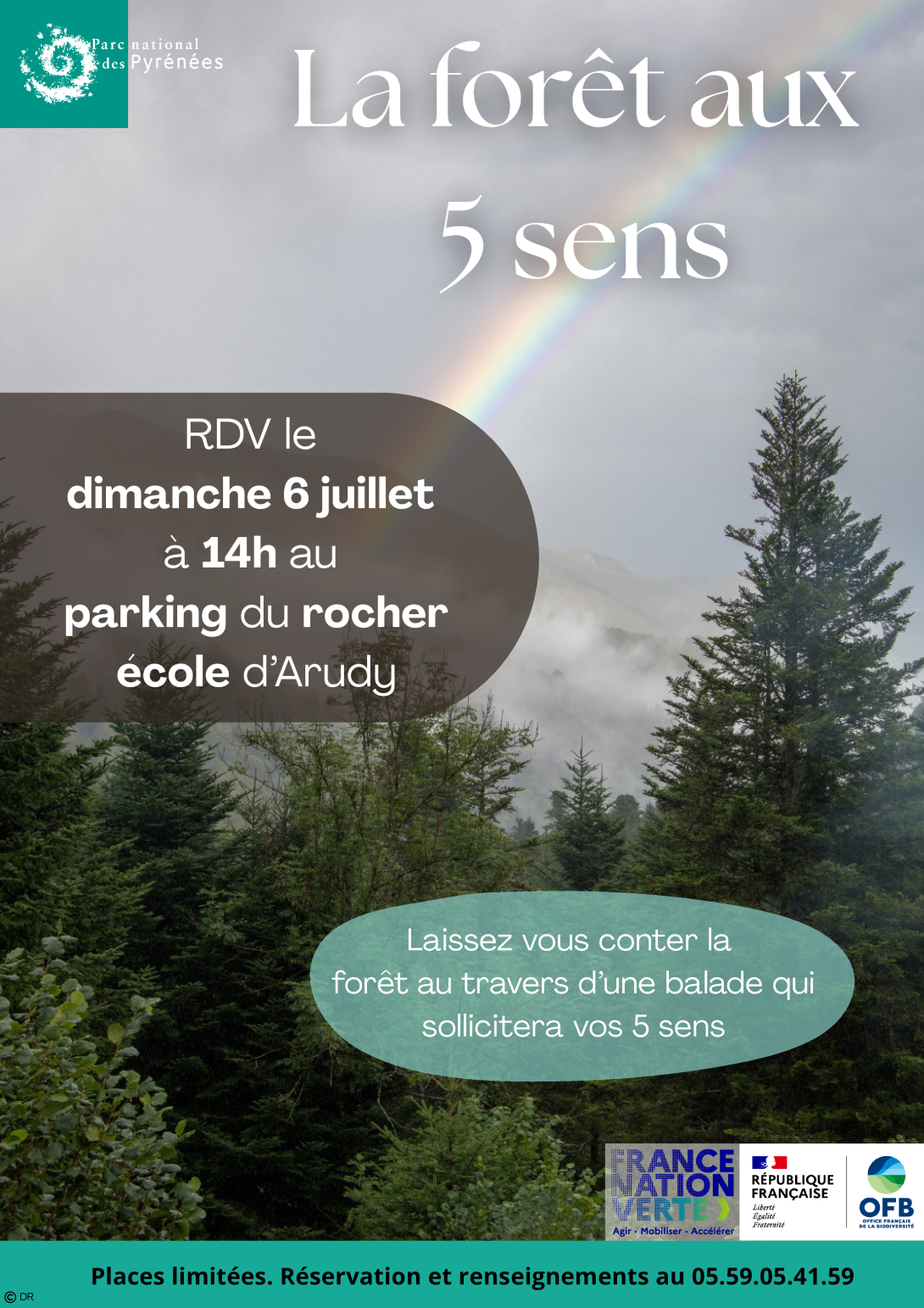 La forêt aux 5 sens